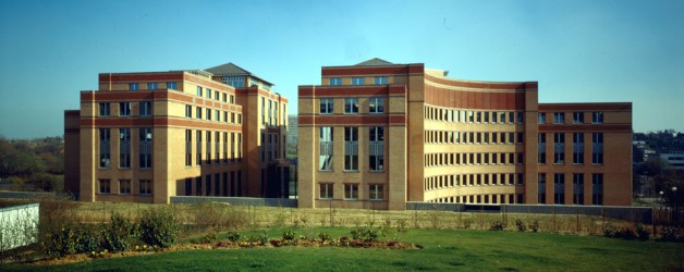 Twin House